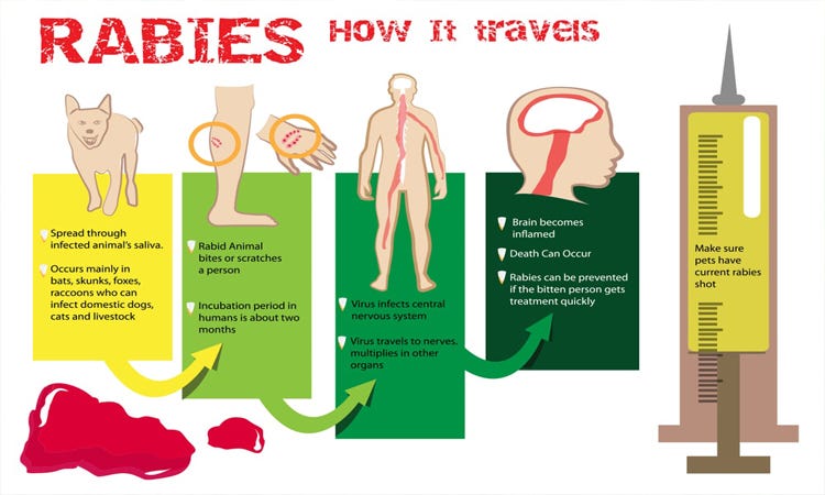 humans with rabies symptoms