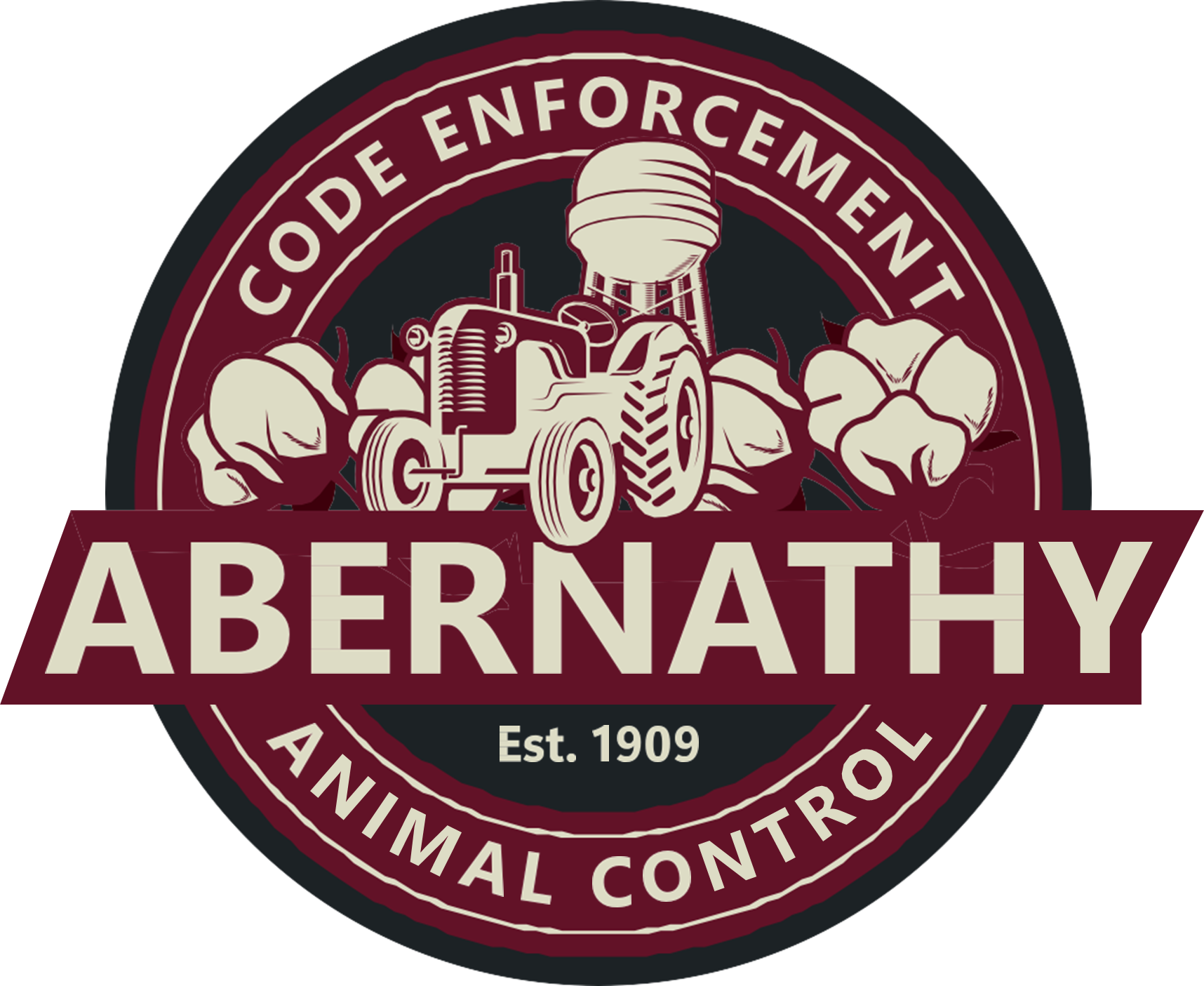 POSITIVE RABIES CASE CONFIRMED IN THE CITY OF ABERNATHY AREA City of Abernathy